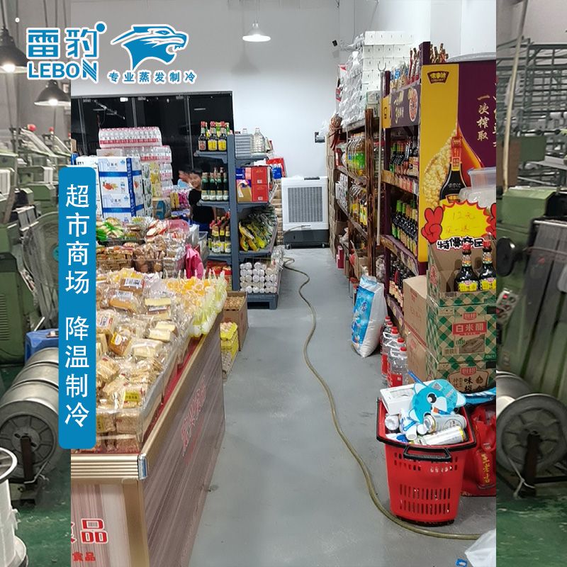 雷豹冷風(fēng)機(jī)MFC6000水冷空調(diào)超市商場(chǎng)通風(fēng)降溫